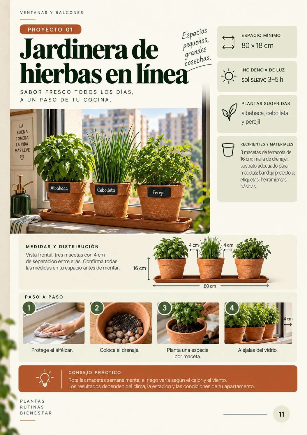 Huerto de hierbas en el alféizar